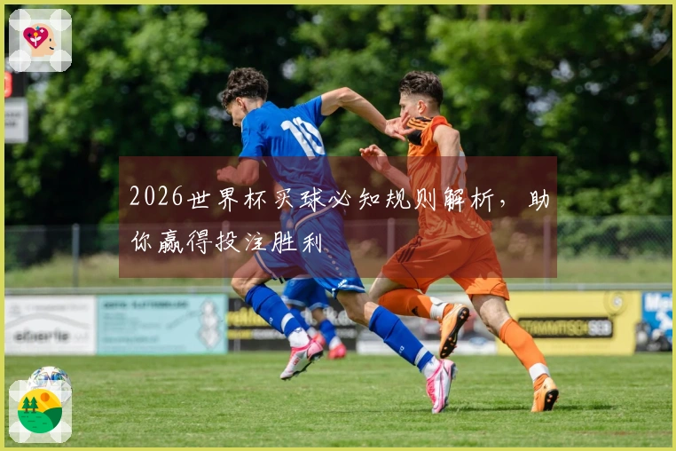2026世界杯买球必知规则解析，助你赢得投注胜利