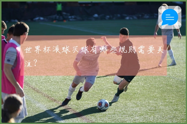 世界杯滚球买球有哪些规则需要关注？
