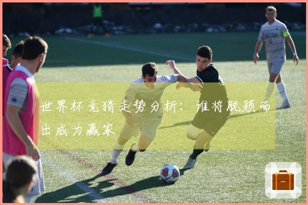 世界杯竞猜走势分析：谁将脱颖而出成为赢家