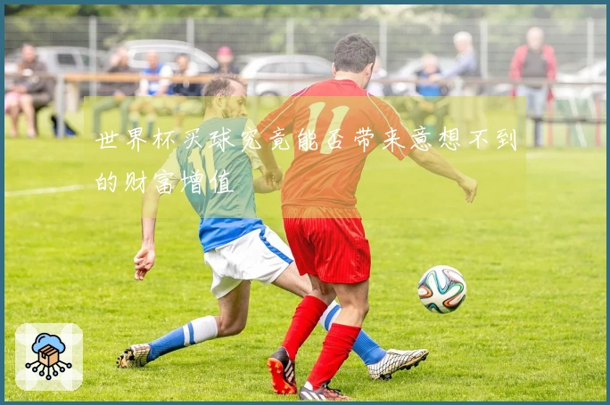 世界杯买球究竟能否带来意想不到的财富增值