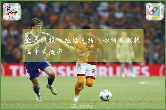 世界杯投注经验总结：如何有效提高中奖概率