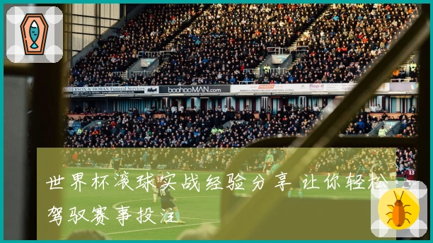 世界杯滚球实战经验分享 让你轻松驾驭赛事投注