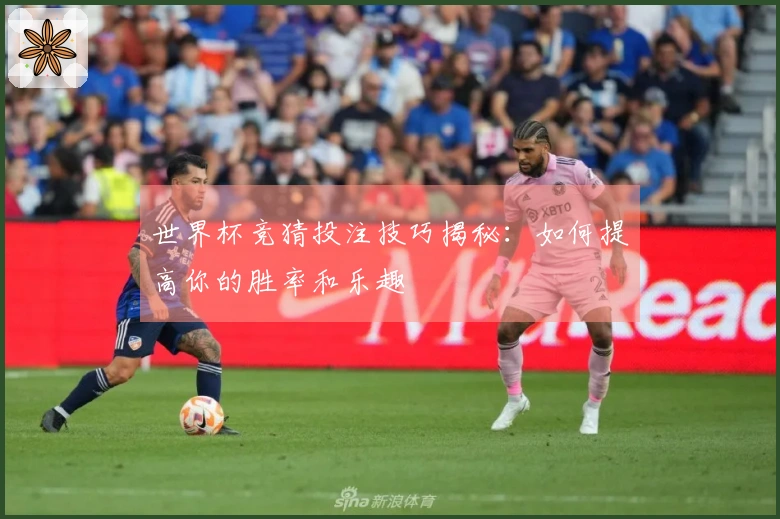 世界杯竞猜投注技巧揭秘：如何提高你的胜率和乐趣