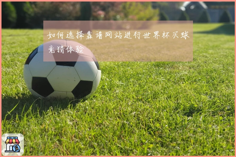 如何选择靠谱网站进行世界杯买球竞猜体验