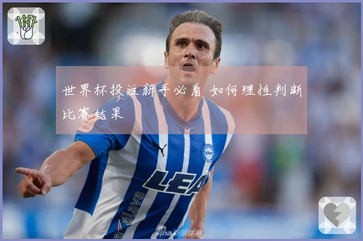 世界杯投注新手必看 如何理性判断比赛结果