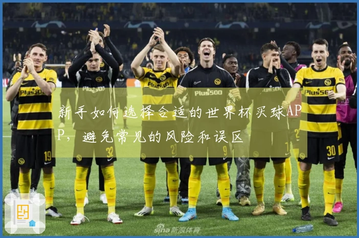 新手如何选择合适的世界杯买球APP，避免常见的风险和误区