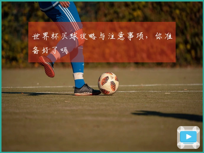 世界杯买球攻略与注意事项，你准备好了吗