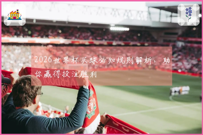 2026世界杯买球必知规则解析，助你赢得投注胜利