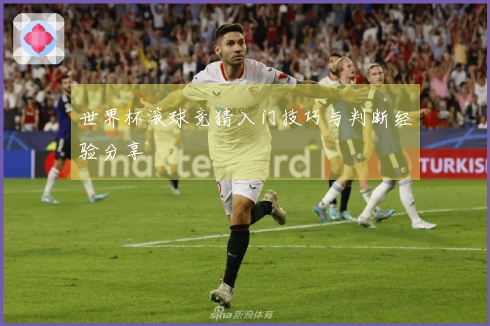 世界杯滚球竞猜入门技巧与判断经验分享