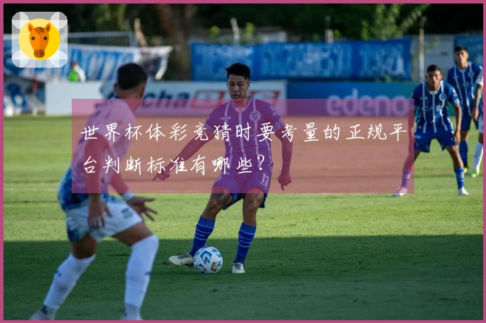 世界杯体彩竞猜时要考量的正规平台判断标准有哪些？