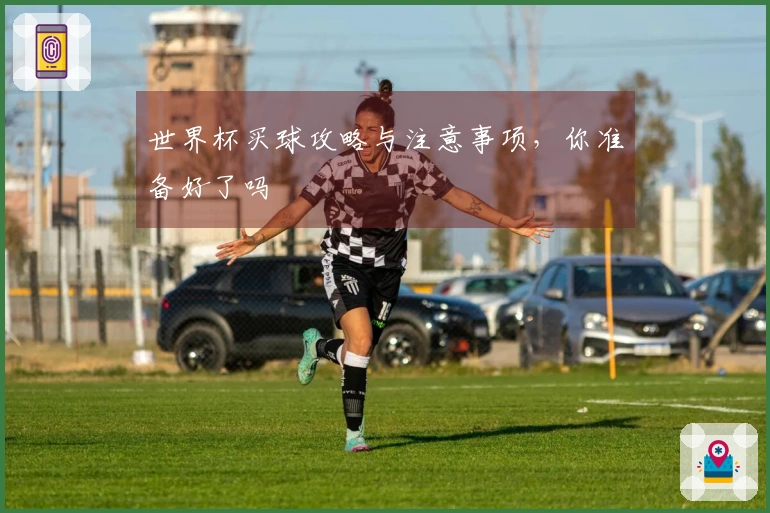 世界杯买球攻略与注意事项，你准备好了吗