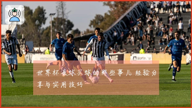 世界杯滚球买球的那些事儿 经验分享与实用技巧