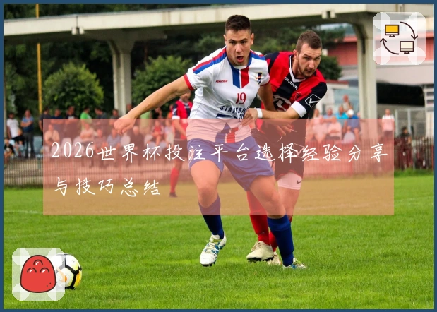 2026世界杯投注平台选择经验分享与技巧总结