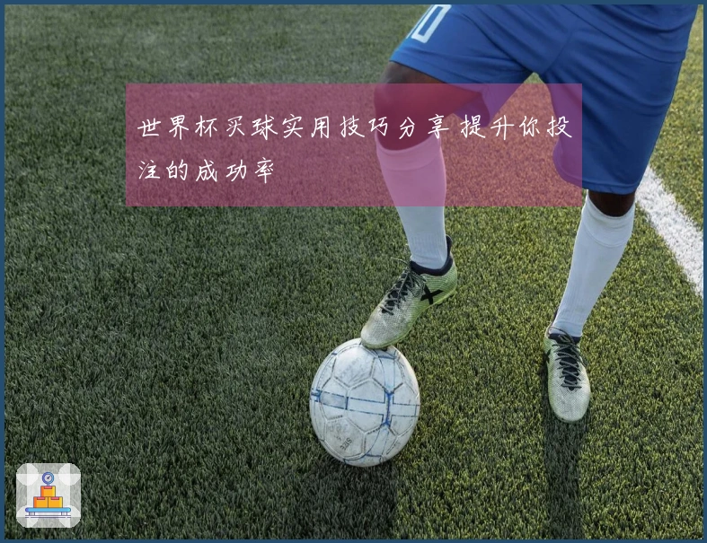 世界杯买球实用技巧分享 提升你投注的成功率