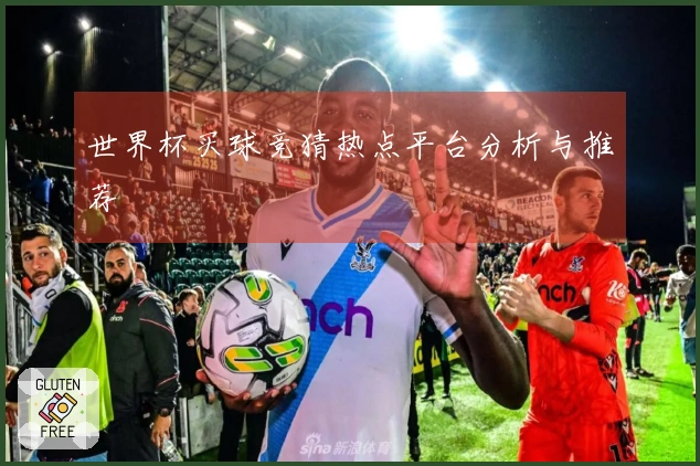 世界杯买球竞猜热点平台分析与推荐