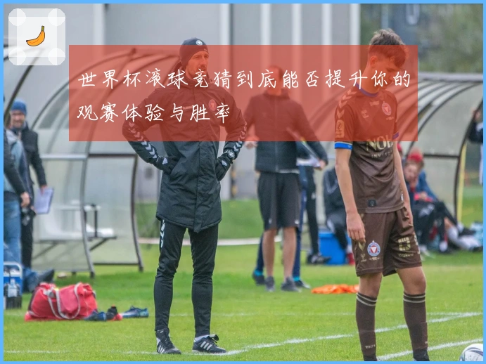 世界杯滚球竞猜到底能否提升你的观赛体验与胜率